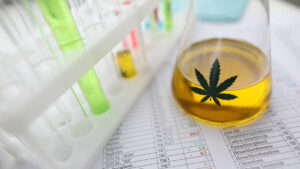 MGC Pharma admitted to London Stock Exchange