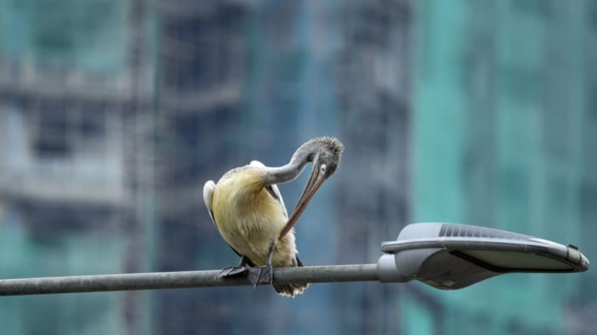 10 at 10: These ASX stocks are perched on top of the market this morning