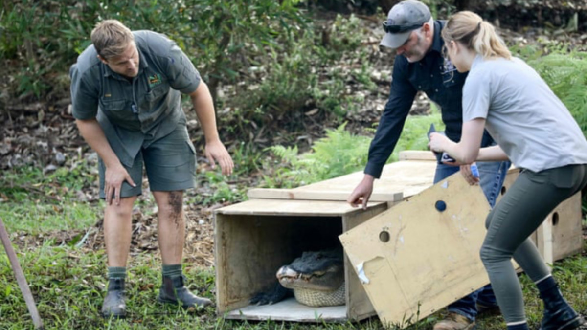 10 at 10: These ASX stocks are being unleashed to the market this morning