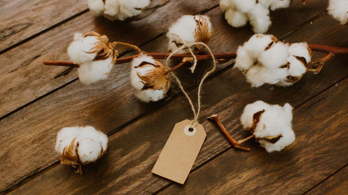 Security Matters Platform Organic Cotton