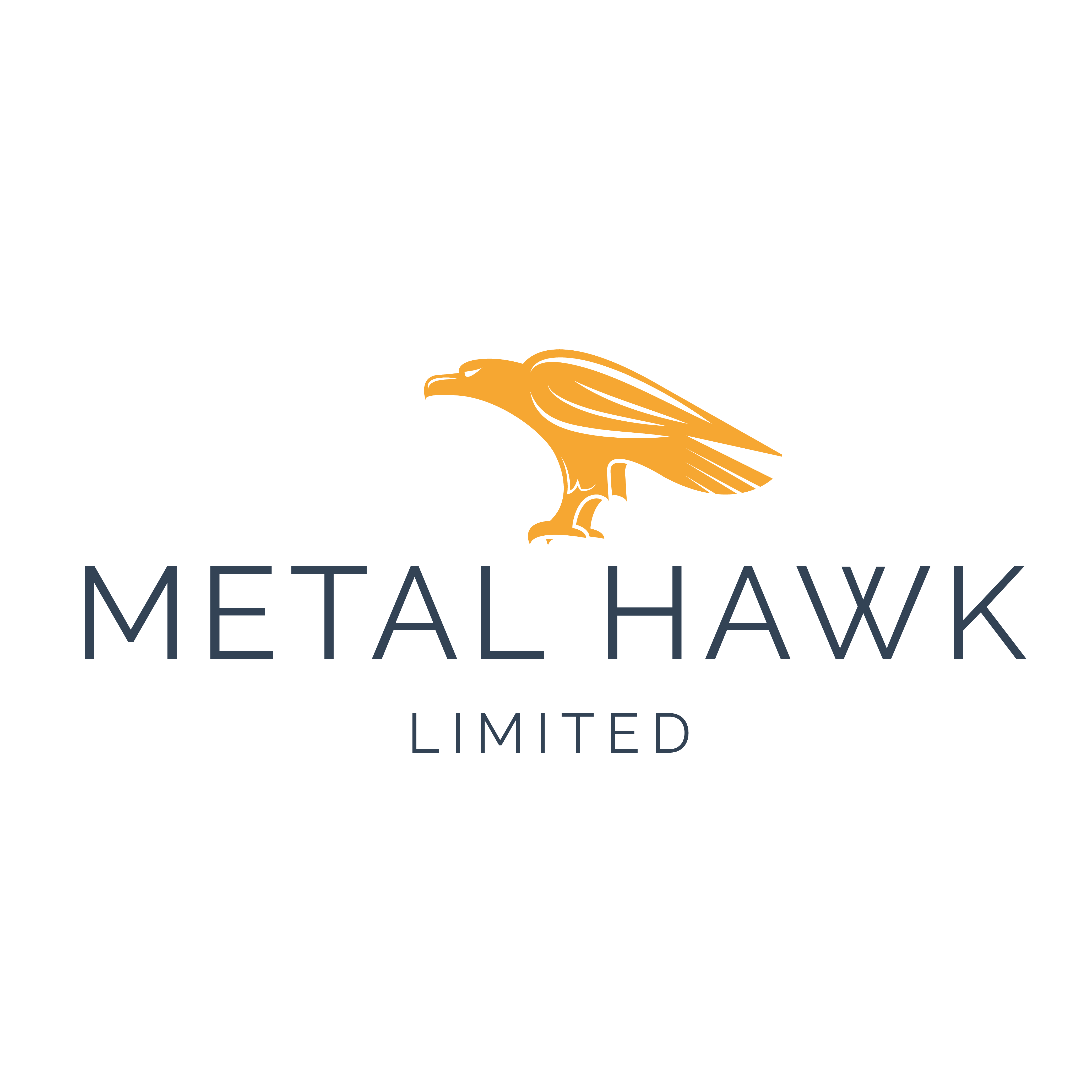 Metal Hawk – MHK