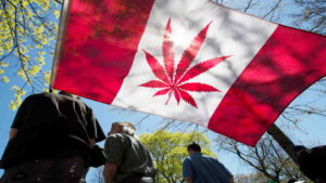 asx cannabis