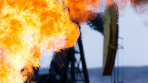 Oil