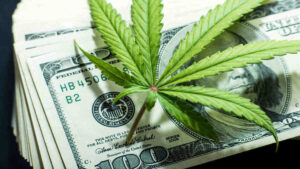 asx cannabis stocks