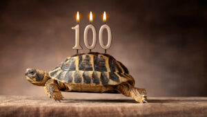 Confessions of a Day Trader: A perfectly apt present for Bottom Picker’s birthday!
