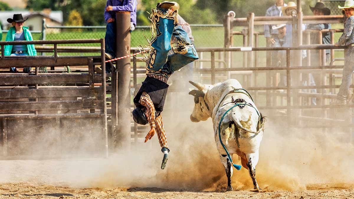 Rise and Shine: What you need to know before the ASX opens