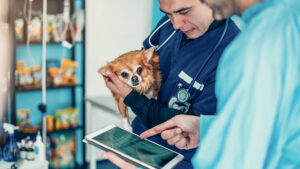 Apiam Animal Health Regional Growth
