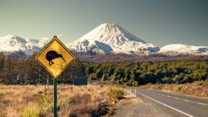 Kiwi reporting season
