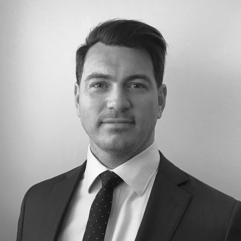Michael Nitsche, Non Executive Director