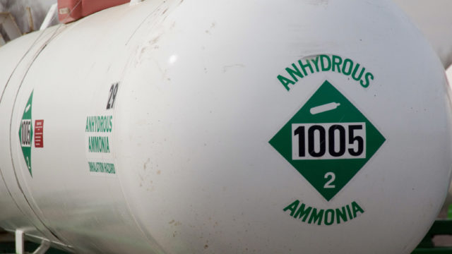 Green energy ammonia monash
