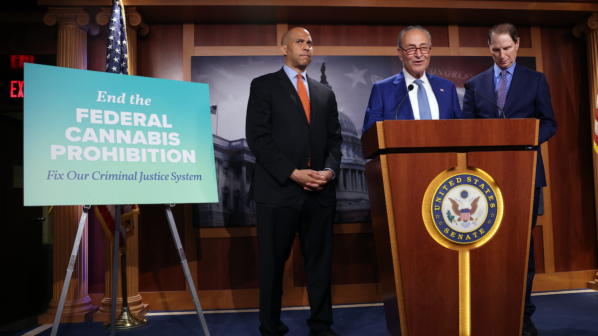 Creso Pharma Welcomes Senate Democrats’ Bid To Legalise Cannabis ...