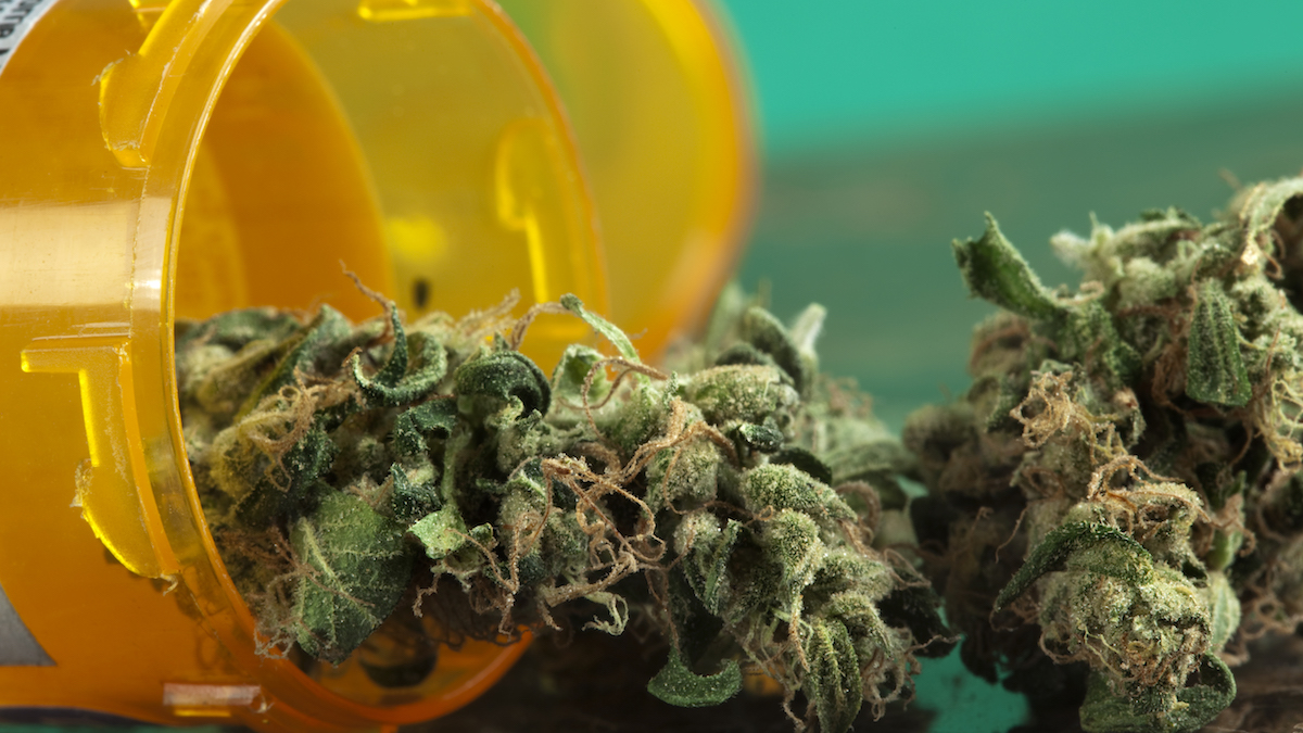Unicorns Podcast: Medicinal cannabis market lights up with Cymra Life Sciences