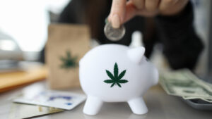 ASX Pot Stocks: BOD Australia jumps 12% on record $7.52 million revenue for FY21