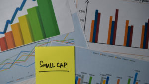 ASX small cap investors