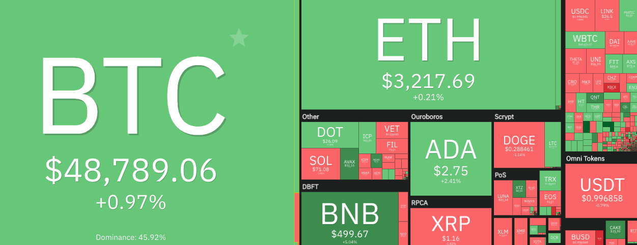 Crypto market overview