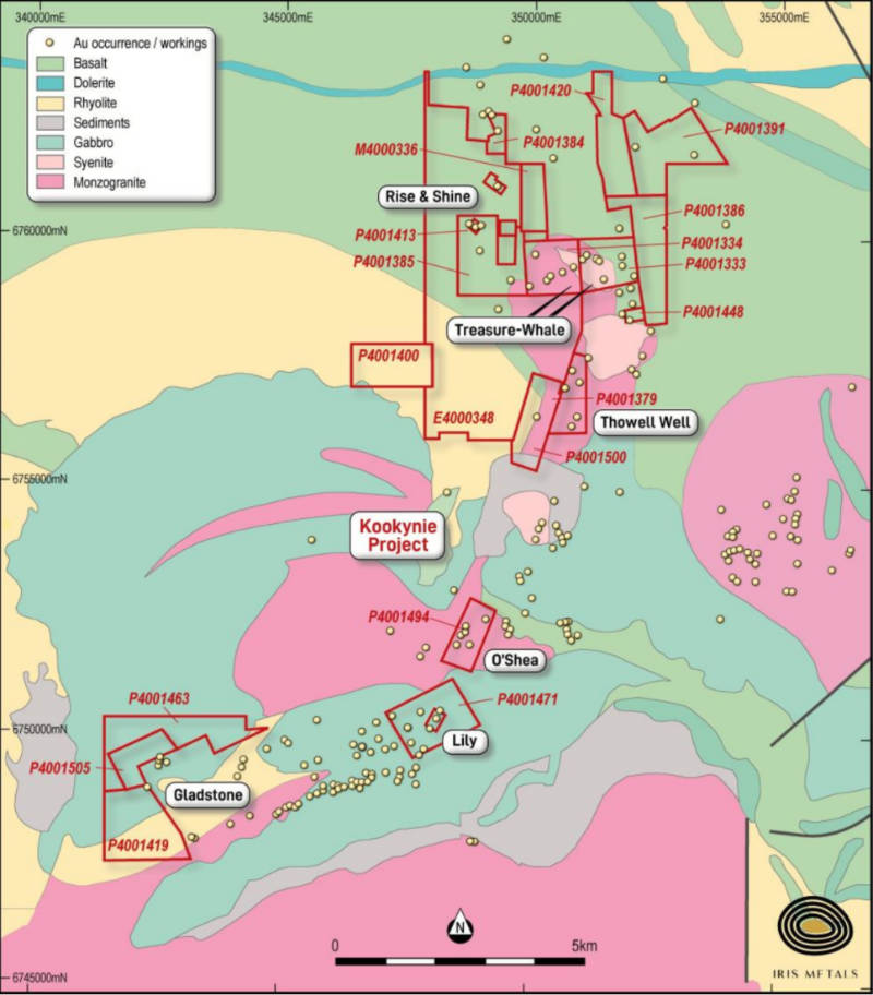 iris metals kookynie gold tenements