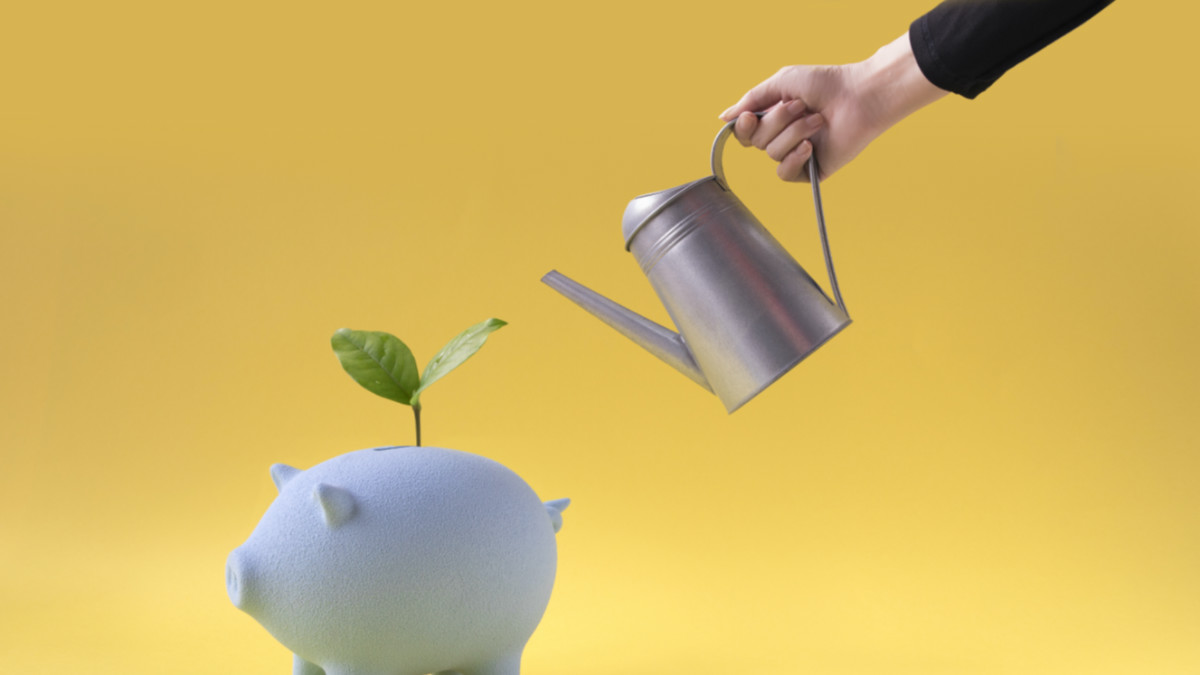 SiteMinder IPO