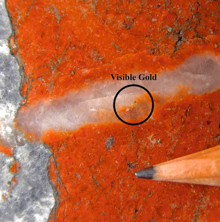 Visible gold in drill core