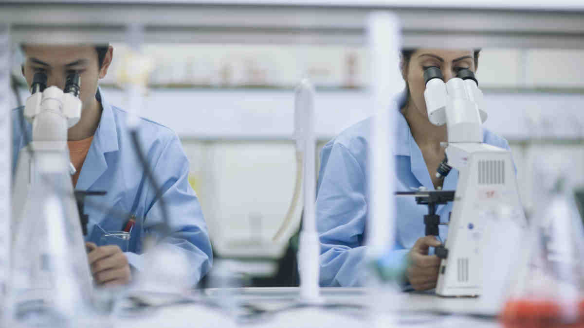 PharmAust asx paa Trial