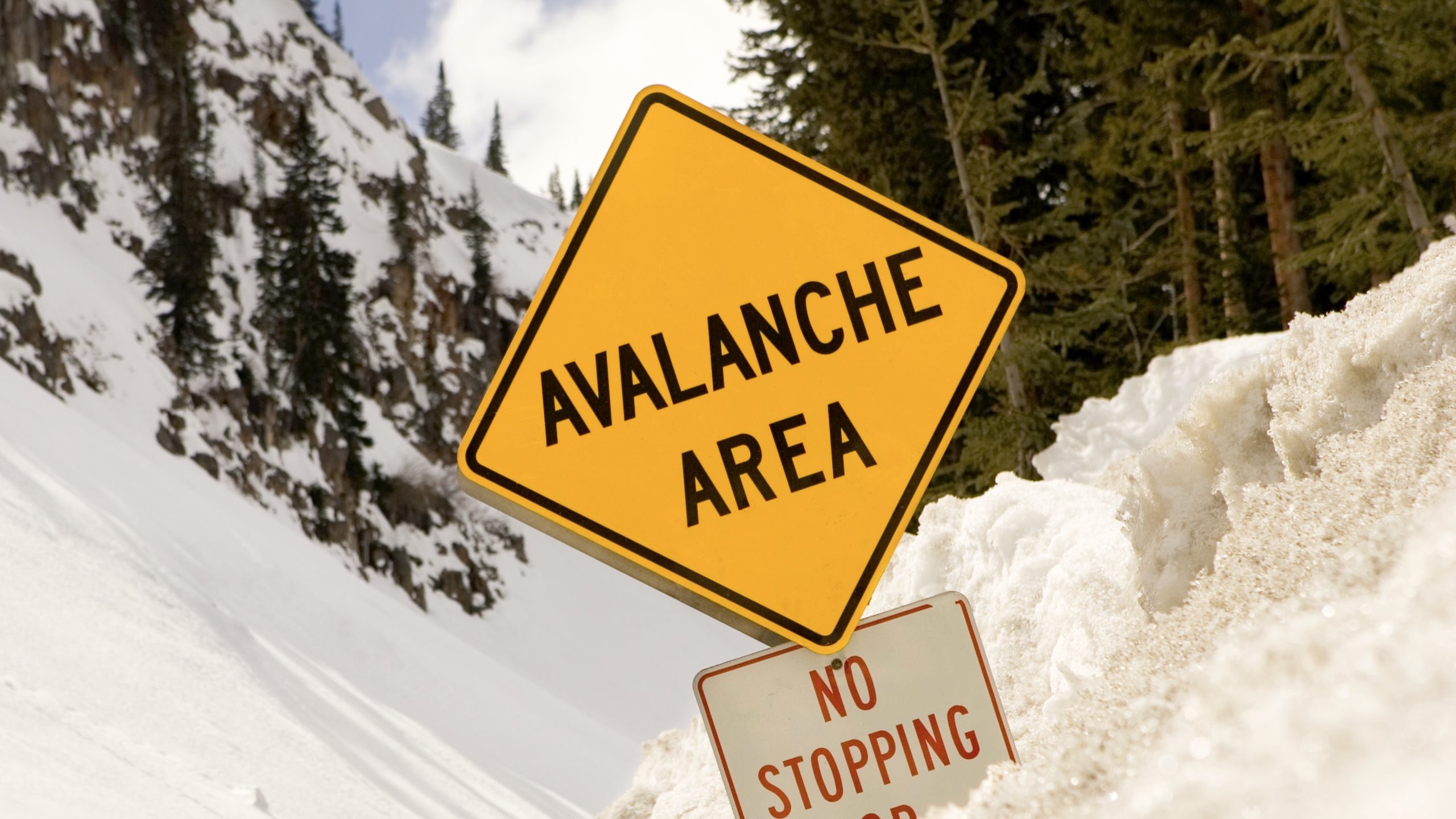 cryptocurrency mastercard avalanche