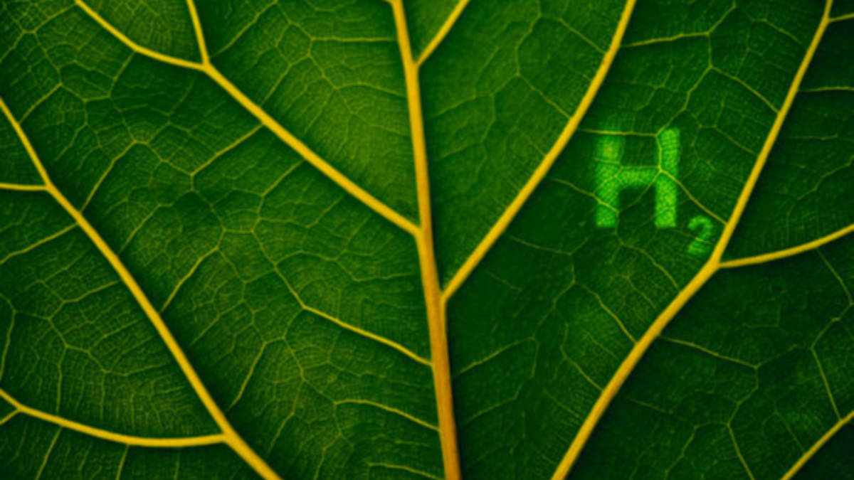 Green energy