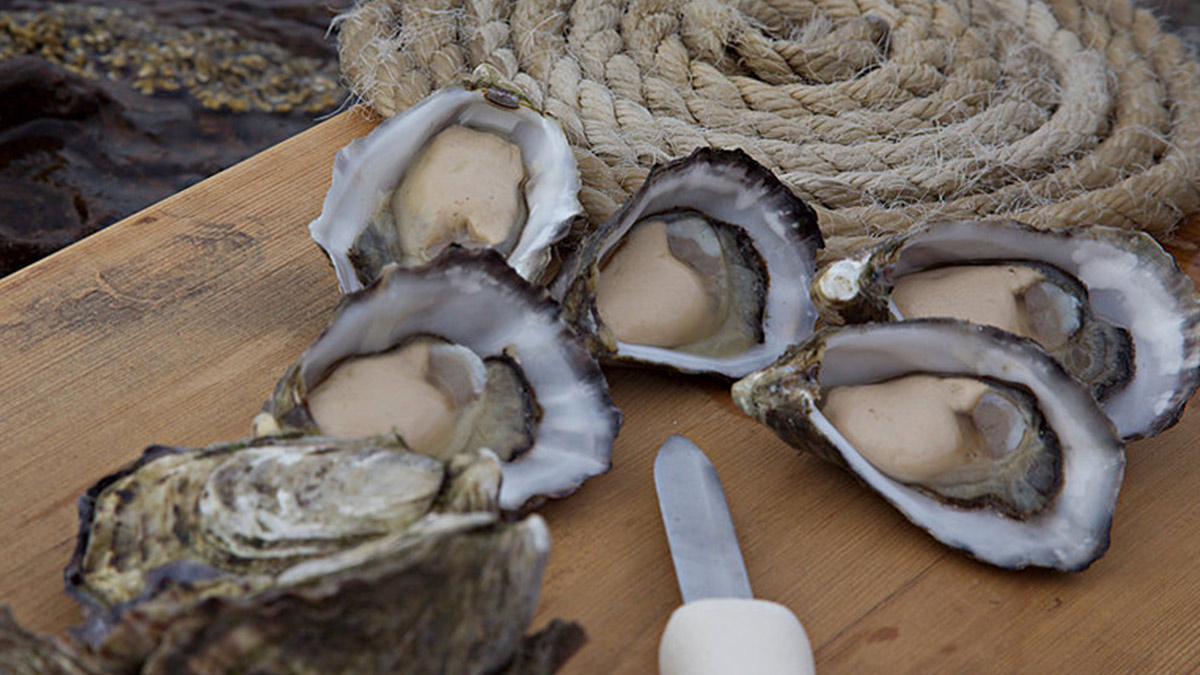 Security Matters Oysters