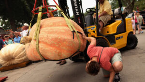 Major lift: Auric Minings’ Munda Gold deposit increases with 82pc of resources in the indicated category