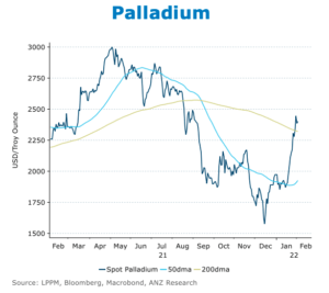 Palladium prices have been rising sharply since the turn of the year