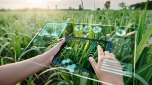 crypto yield-farming