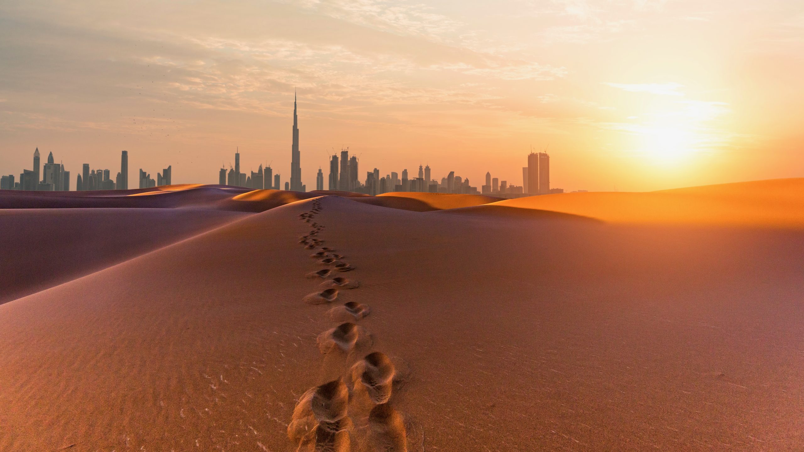 UAE crypto hub