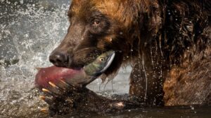 Market Highlights and 5 ASX Small Caps to watch on Tuesday