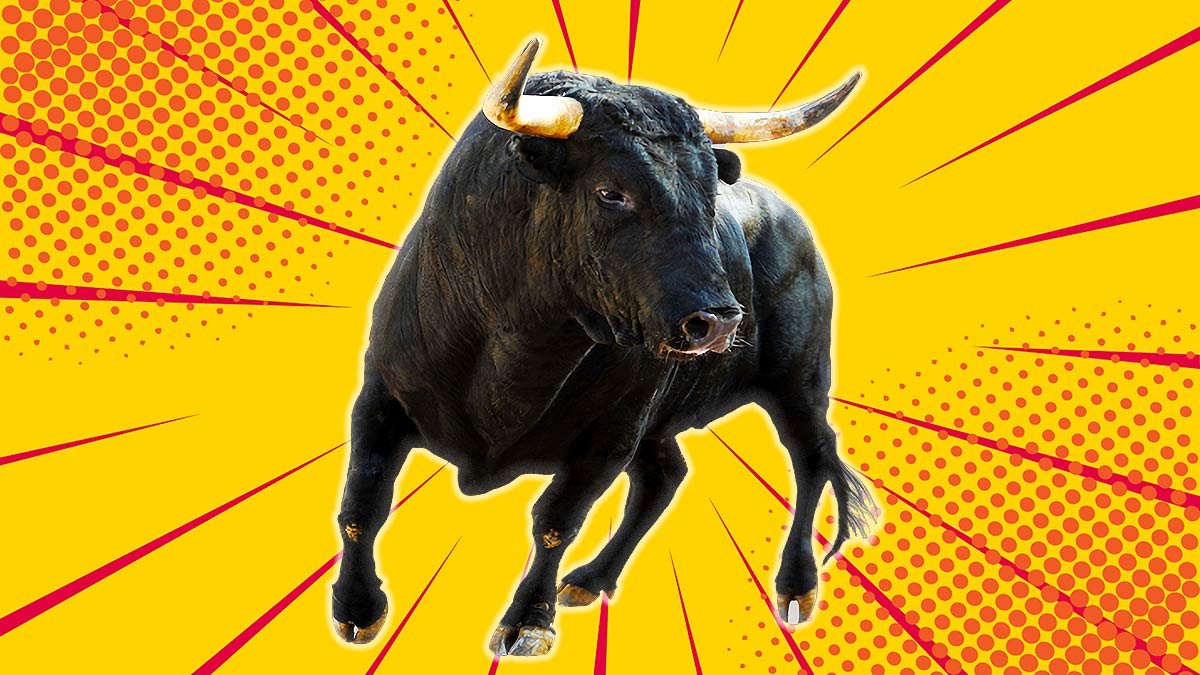 copper bull market