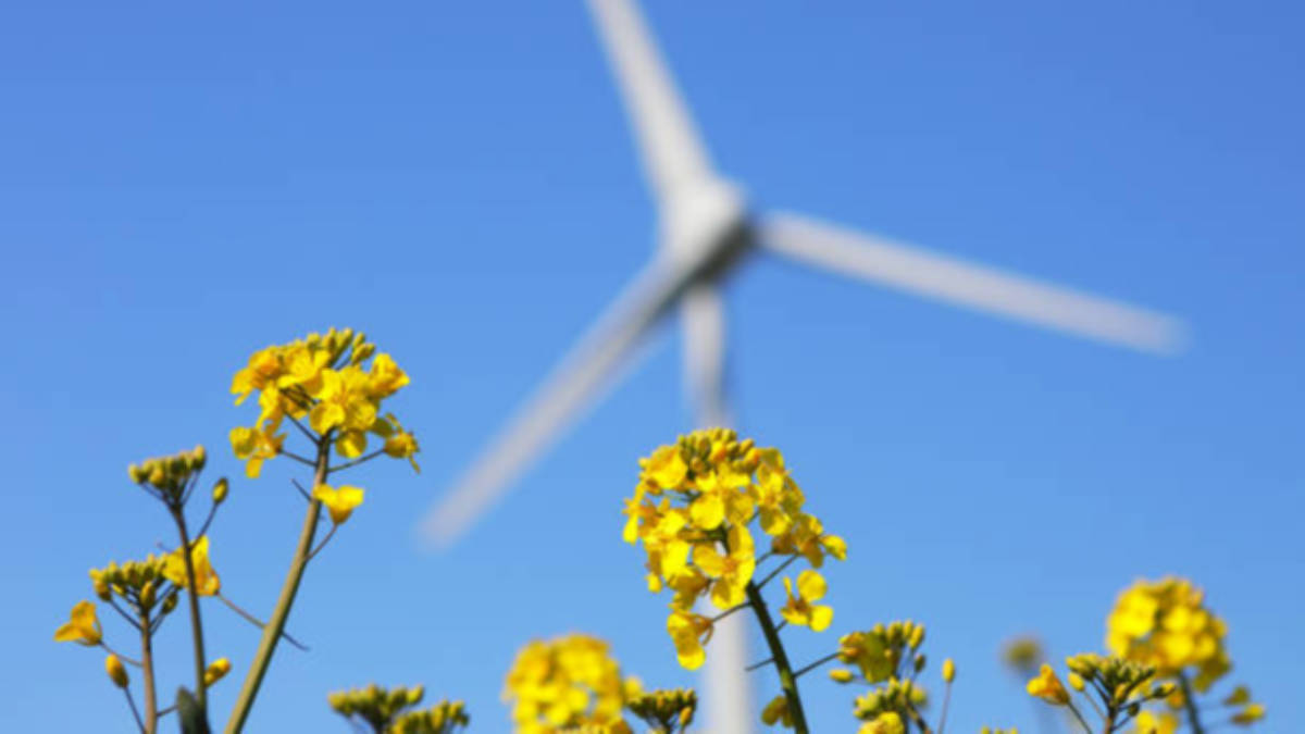 ASX green energy