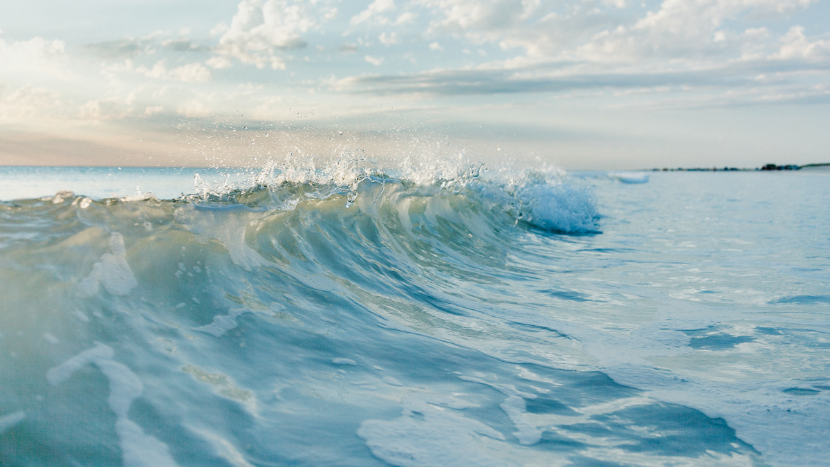 Waves leads crypto market higher with 40% pump; Bitcoin holding above $47k