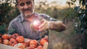 singular health group asx shg