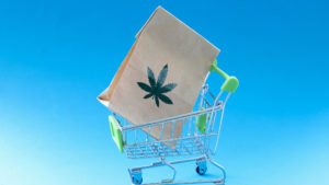 asx cannabis stocks can