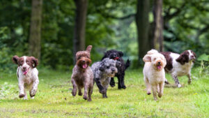 Top 10 at 10: These ASX stocks are leading the pack today