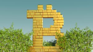 Bamboo crypto