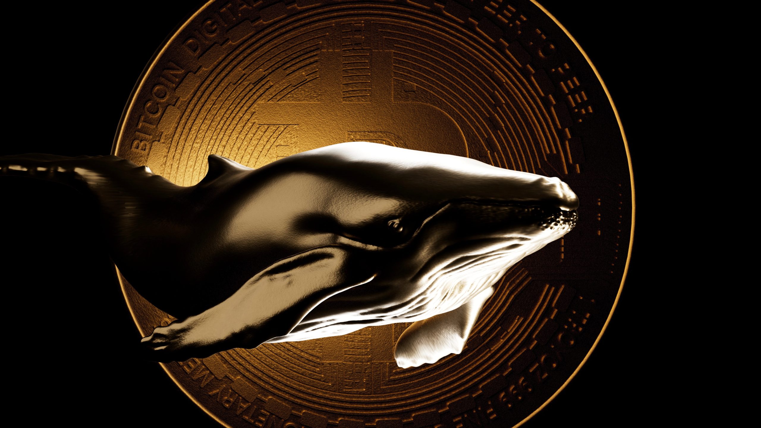 bitcoin whales