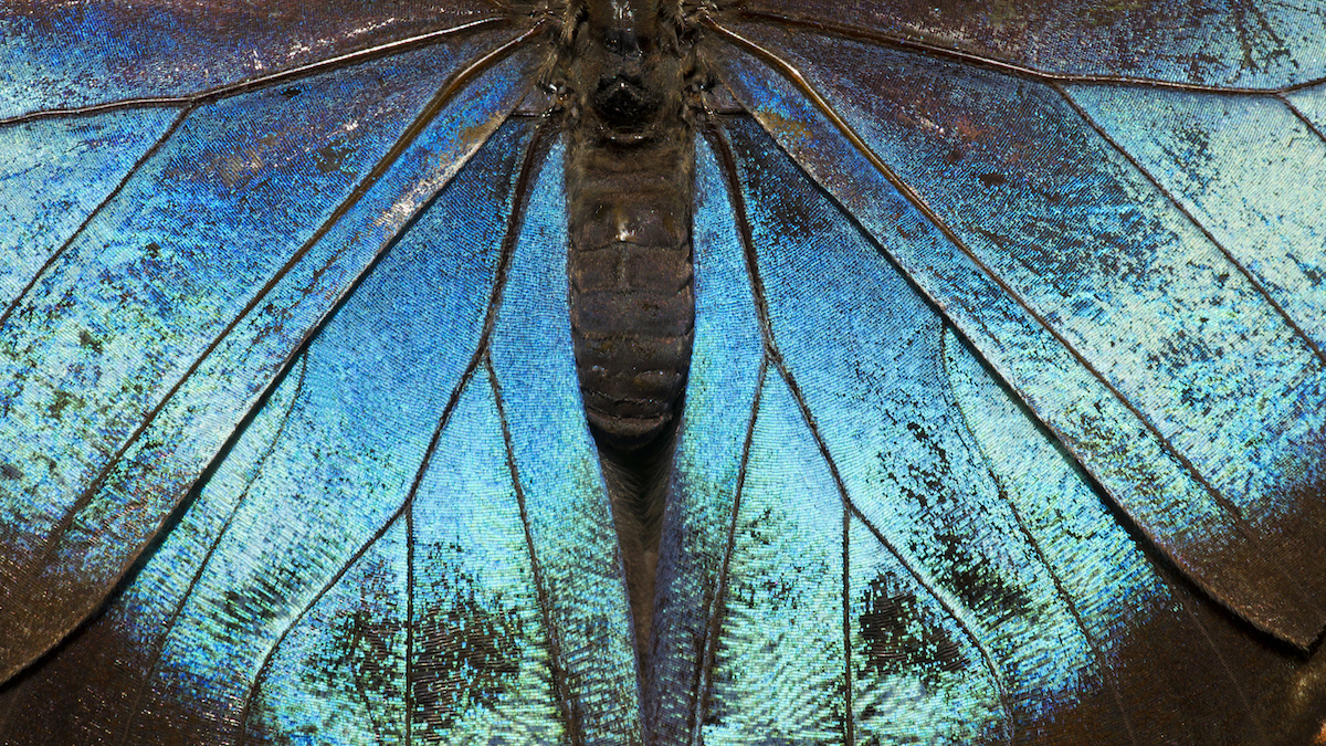 Getty Images: Paul Souders 145175551