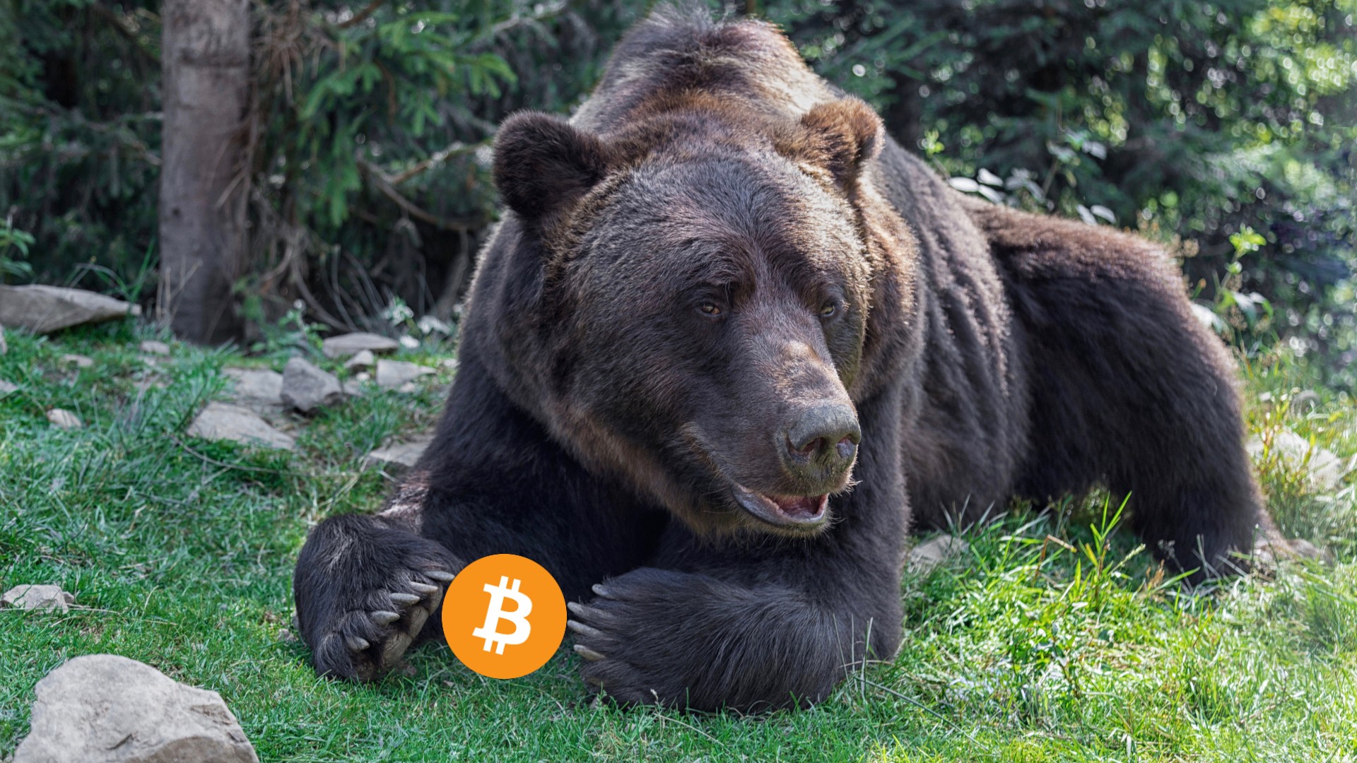 Bitcoin worst bear market