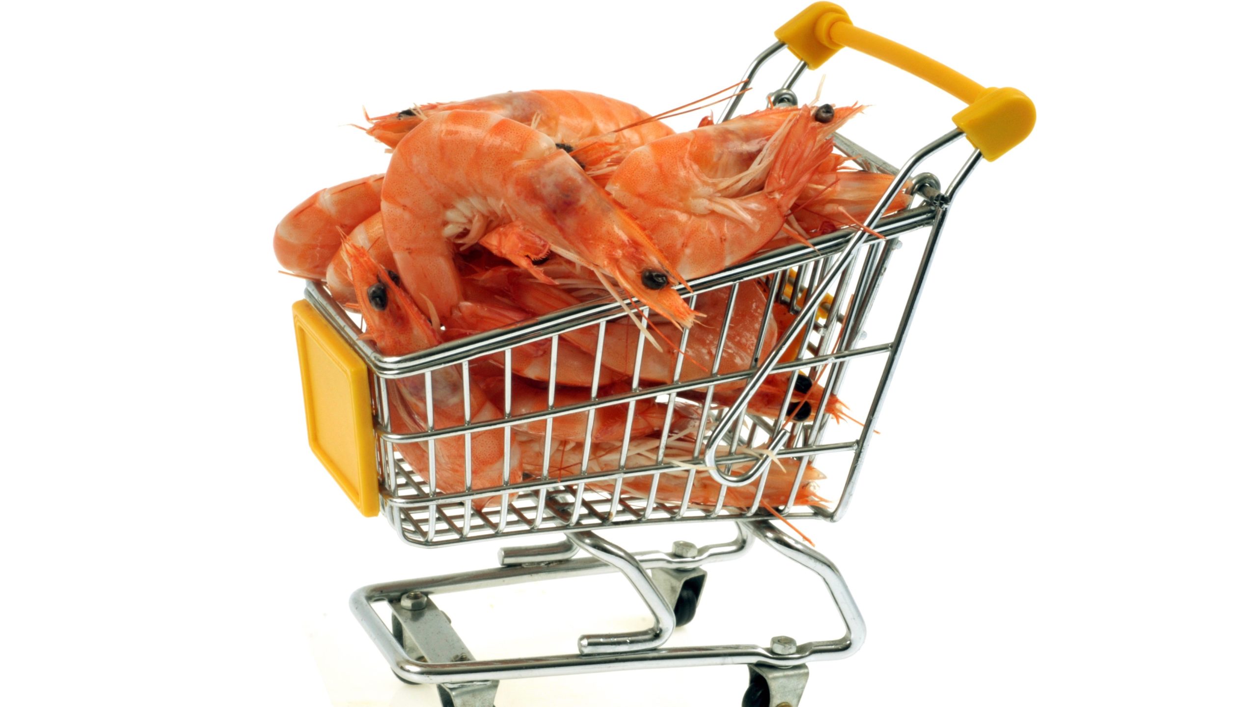 Balances of Bitcoin whales and shrimps ‘increasing meaningfully’: Glassnode