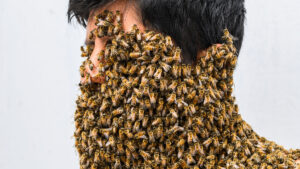 The Secret Broker: Stressed about getting stung? There’s always someone worse off