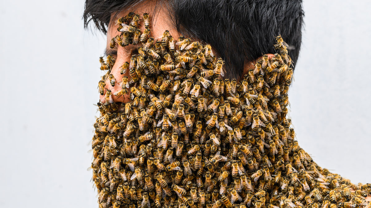 The Secret Broker: Stressed about getting stung? There’s always someone worse off