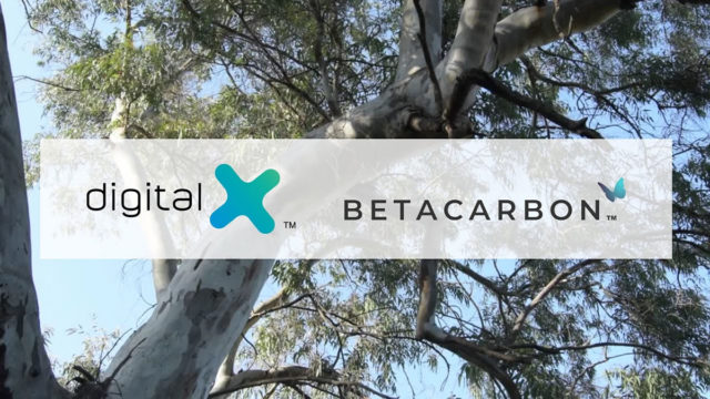DigitalX - BetaCarbon partnership