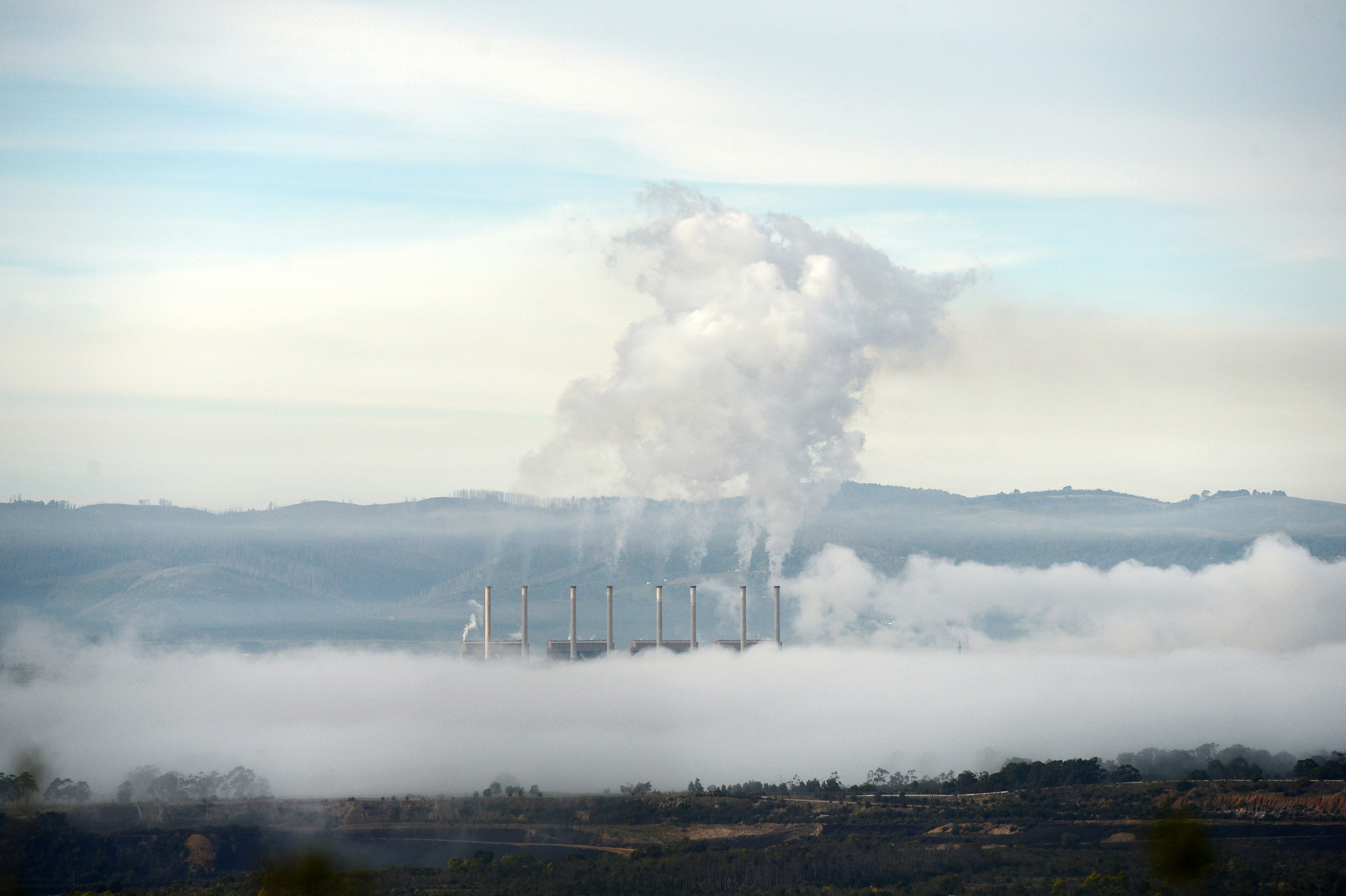 Coal price forecasts