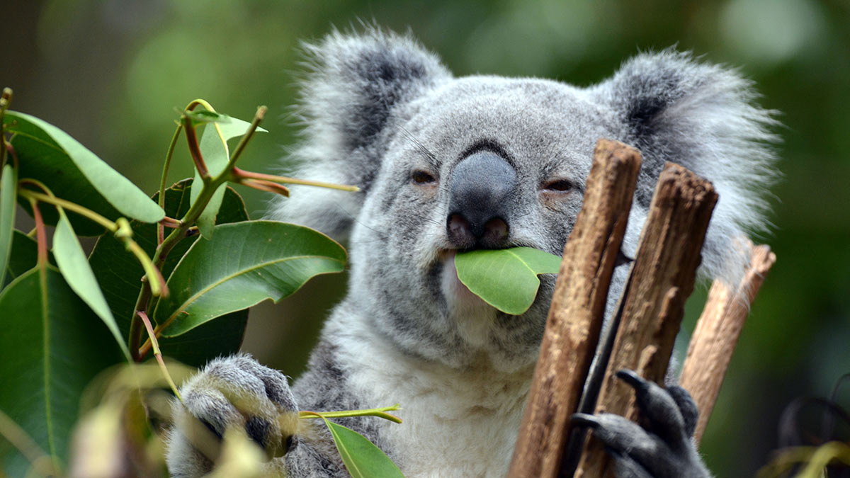 Top 10 at 10: The best and worst ASX stocks on Tuesday morn