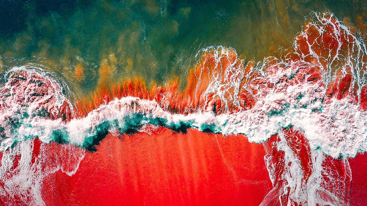 Top 10 at 10: This ASX palladium stock is floating above a sea of red today