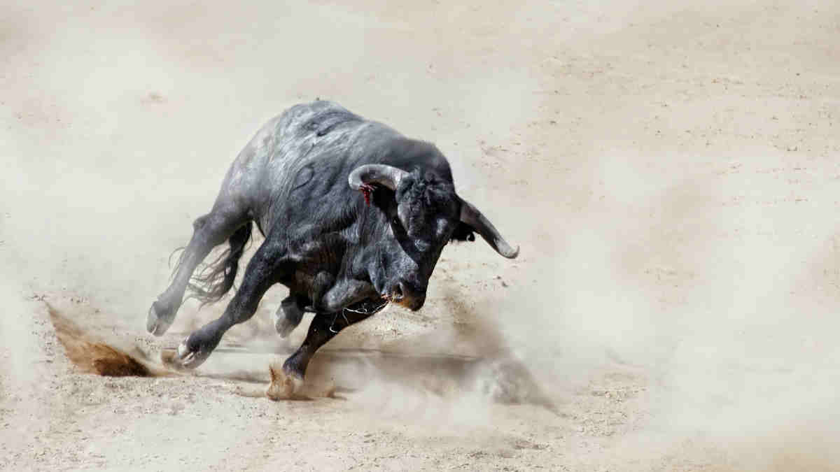 asx large cap TYR