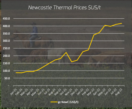 New Hope Corp has seen thermal coal prices fly to record levels this year.